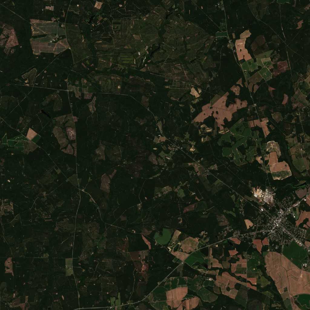 Sentinel-2 image before the tornado, 6 SSW Appleton, SC